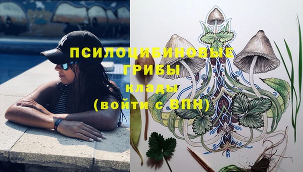 Альфа ПВП Волоколамск