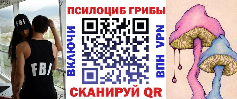 купить наркотик  Всеволожск  Псилоцибиновые грибы Magic Shrooms 